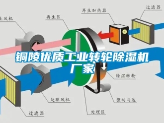 企業手机看片AV短片銅陵優質工業轉輪91看片在线下载機廠家