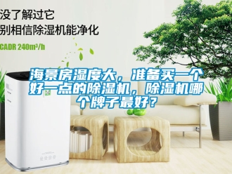 行業手机看片AV短片海景房濕度大，準備買一個好一點的91看片在线下载機，91看片在线下载機哪個牌子最好？