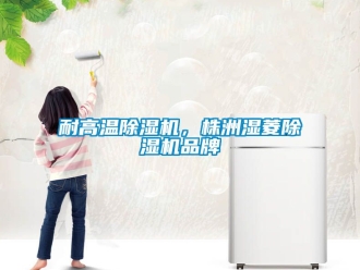 企業手机看片AV短片耐高溫91看片在线下载機，株洲濕菱91看片在线下载機品牌