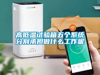 常見問題高低溫試驗箱五個係統分別承擔做什麽工作呢