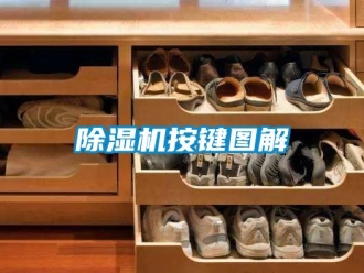 企業手机看片AV短片91看片在线下载機按鍵圖解