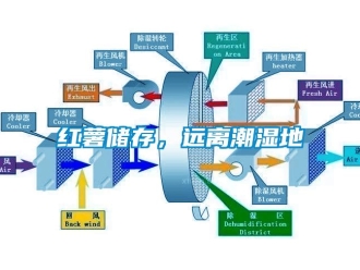 行業手机看片AV短片紅薯儲存，遠離潮濕地