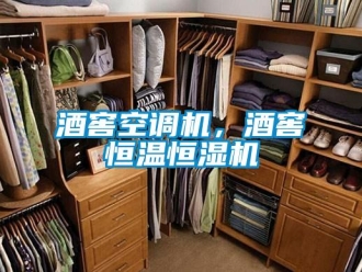 行業手机看片AV短片酒窖空調機，酒窖恒溫恒濕機