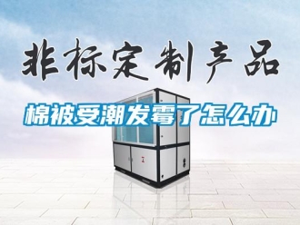 常見問題棉被受潮發黴了怎麽辦