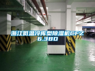行業手机看片AV短片浙江低溫冷庫型91看片在线下载機CFZ6.3BD