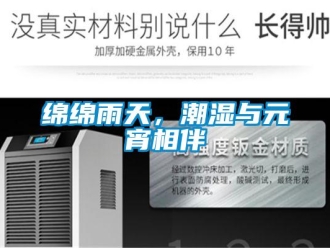行業手机看片AV短片綿綿雨天，潮濕與元宵相伴