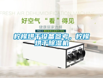 行業手机看片AV短片檸檬烘幹設備參考，檸檬烘幹91看片在线下载機
