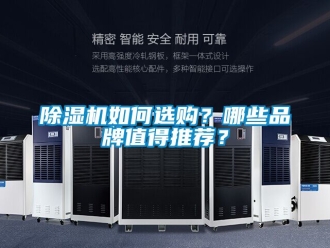 企業手机看片AV短片91看片在线下载機如何選購？哪些品牌值得推薦？