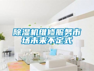 企業手机看片AV短片91看片在线下载機維修服務市場未來不定式