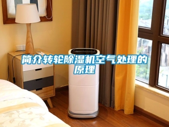 常見問題簡介轉輪91看片在线下载機空氣處理的原理