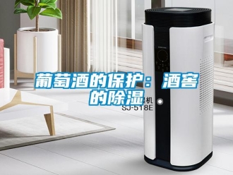 行業手机看片AV短片葡萄酒的保護：酒窖的91看片在线下载