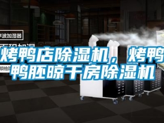 行業手机看片AV短片烤鴨店91看片在线下载機，烤鴨鴨胚晾幹房91看片在线下载機