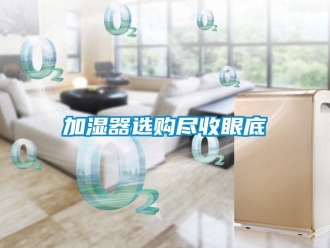 行業手机看片AV短片加濕器選購盡收眼底