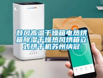 手机看片AV短片資訊鼓風高溫幹燥箱電熱烘箱91看片在线下载幹燥熱風烘箱立式烘幹機蘇州納冠