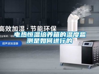 知識百科電熱恒溫培養箱的溫度監測是如何進行的