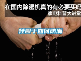 常見問題桂圓幹如何防潮