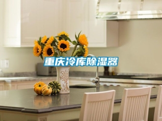 行業手机看片AV短片重慶冷庫91看片在线下载器