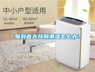 常見問題每到春天特別潮濕怎麽辦？