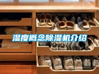 行業手机看片AV短片濕度概念91看片在线下载機介紹