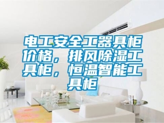 知識百科電工安全工器具櫃價格，排風91看片在线下载工具櫃，恒溫智能工具櫃
