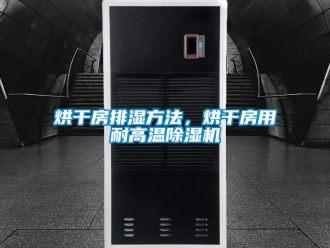 行業手机看片AV短片烘幹房排濕方法，烘幹房用耐高溫91看片在线下载機
