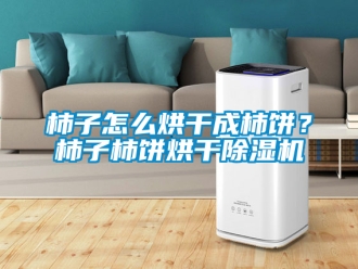 行業手机看片AV短片柿子怎麽烘幹成柿餅？柿子柿餅烘幹91看片在线下载機