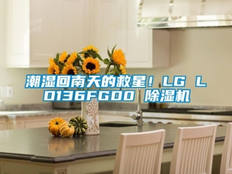 企業手机看片AV短片潮濕回南天的救星！LG LD136FGD0 91看片在线下载機