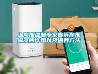 知識百科上海加濕器專家告訴你加濕器的作用以及保養方法