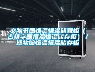 知識百科文物書畫恒溫恒濕儲藏櫃（古籍字畫恒溫恒濕儲存櫃）／博物館恒溫恒濕儲存櫃
