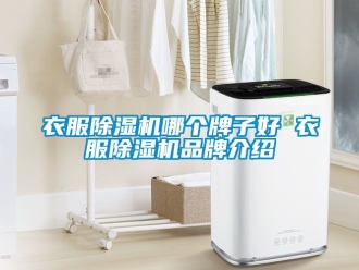 企業手机看片AV短片衣服91看片在线下载機哪個牌子好 衣服91看片在线下载機品牌介紹