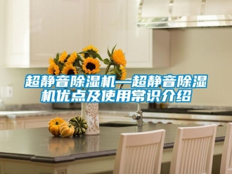 企業手机看片AV短片超靜音91看片在线下载機—超靜音91看片在线下载機優點及使用常識介紹