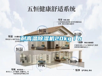 行業手机看片AV短片耐高溫91看片在线下载機20kg／h