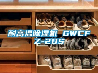 行業手机看片AV短片耐高溫91看片在线下载機 GWCFZ-20S