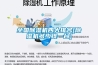 全國91看片在线下载機四大排名[91看片在线下载機多少錢一台]