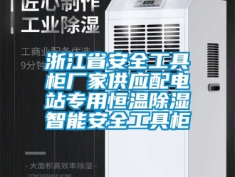 知識百科浙江省安全工具櫃廠家供應配電站專用恒溫91看片在线下载智能安全工具櫃