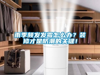 常見問題雨季頻發發黴怎麽辦？裝修才是防潮的關鍵！