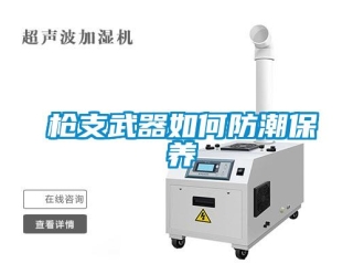 常見問題槍支武器如何防潮保養