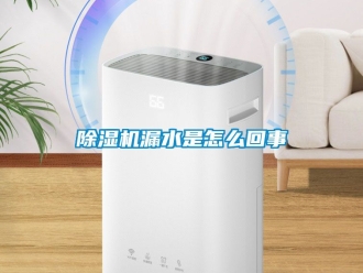 行業手机看片AV短片91看片在线下载機漏水是怎麽回事