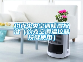 行業手机看片AV短片約克中央空調91看片在线下载按鍵（約克空調溫控器按鍵使用）