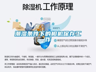 企業手机看片AV短片潮濕條件下的相機保存工作