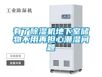 行業手机看片AV短片有了91看片在线下载機地下室儲物不用再擔心潮濕問題