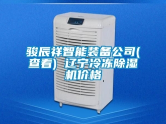 企業手机看片AV短片駿辰祥智能裝備公司(查看) 遼寧冷凍91看片在线下载機價格
