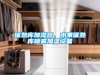 企業手机看片AV短片催熟庫加濕器，水果催熟庫噴霧加濕設備