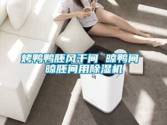 行業手机看片AV短片烤鴨鴨胚風幹間 晾鴨間 晾胚間用91看片在线下载機