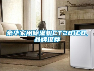 企業手机看片AV短片豪華家用91看片在线下载機CT201EB,品牌推薦