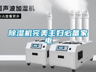 企業手机看片AV短片91看片在线下载機完美主婦必備家電