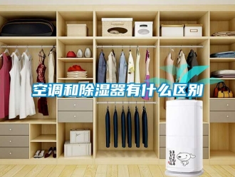 行業手机看片AV短片空調和91看片在线下载器有什麽區別
