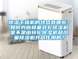 常見問題91看片在线下载幹燥機的特點有哪些？如何判斷蜂巢轉輪91看片在线下载機是不是由轉輪91看片在线下载機和風巢91看片在线下载機共同作用的？