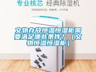 知識百科文物存放恒溫恒濕櫃需要滿足哪些條件？（文物恒溫恒濕櫃）