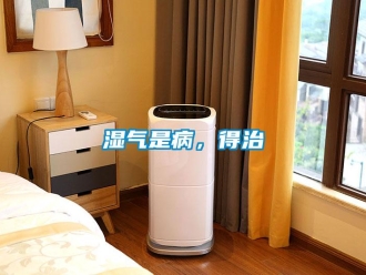知識百科濕氣是病，得治
